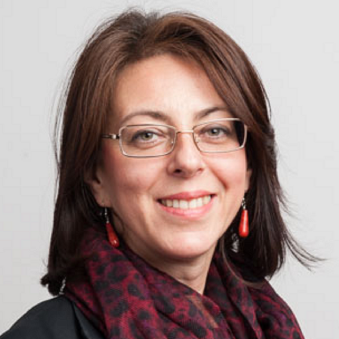 Prof. Amela Ajanovic