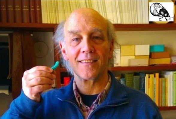 Louis N. Sorkin, BCE